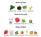 Avenida Francesa Vulcan Baie EDP 100 ml
