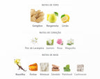 French Avenue Ravine Ginger Extrait 100ml