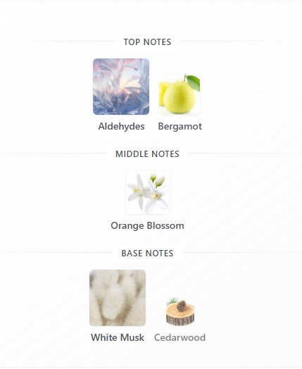 French Avenue Noble Cedar EDP 100ml
