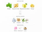 Riiffs Freeze Extrait 100ml