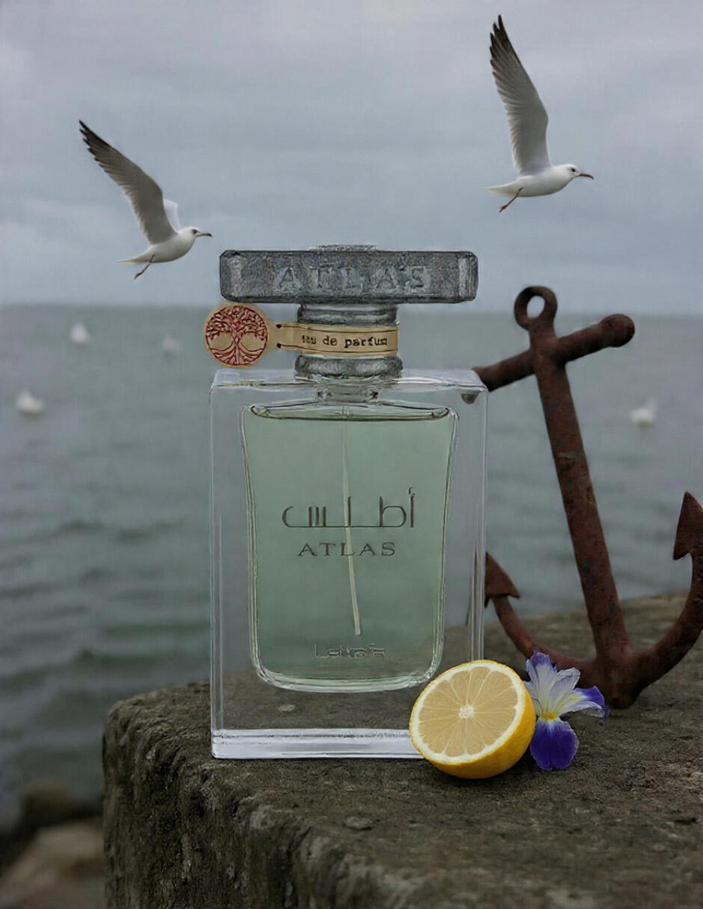 Lattafa Atlas EDP 55ml
