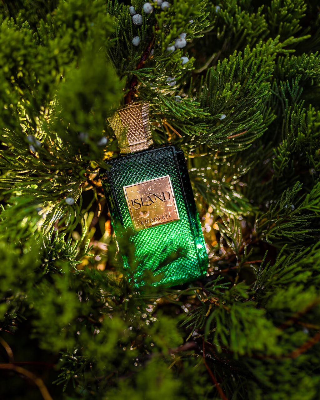 Khadlaj Island Extrait 100ml