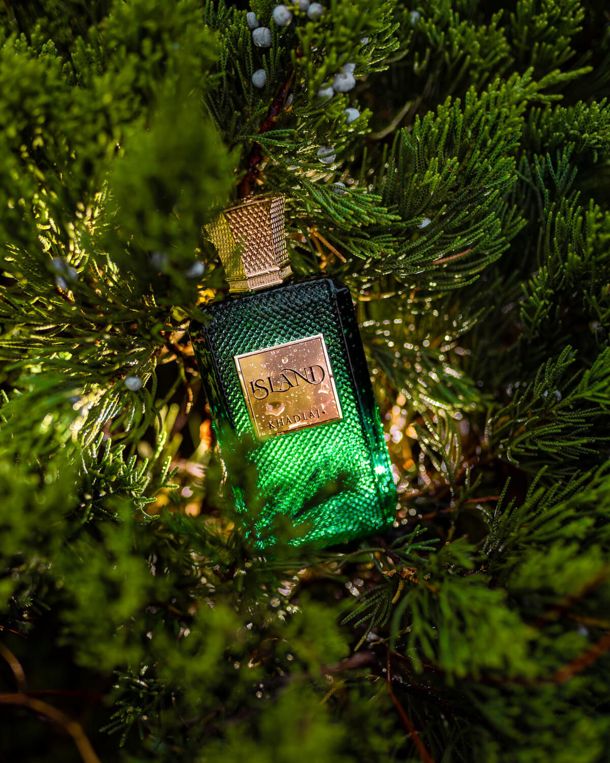 Khadlaj Island Extrait 100ml