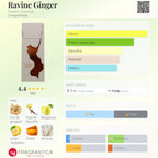 French Avenue Ravine Ginger Extrait 100ml