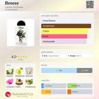 Lattafa Breeze EDP 100ml